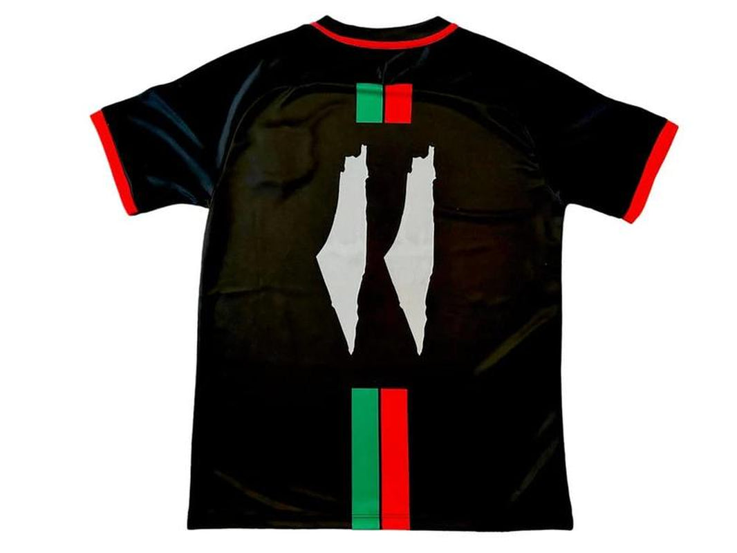 Palestine Black Centre Striped (Red_Green English) Football Shirt, Palestine Soccer Jersey